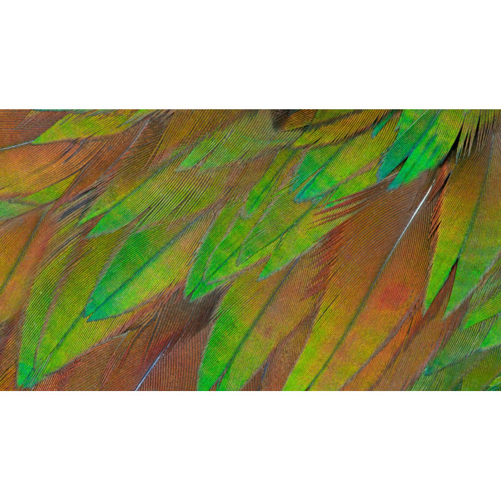 PHILIPS 27 169 WLED 3840X2160 60HZ